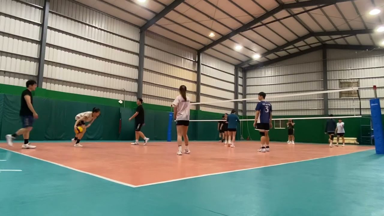 他在鵜鶘隊